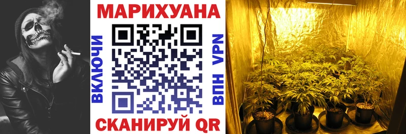 Купить закладку Гашиш  Героин  Меф  A PVP  Амфетамин  Конопля  КОКАИН  Дигора