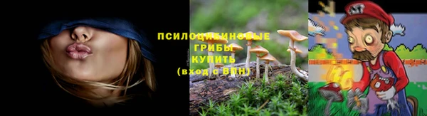 не бодяженный Волоколамск