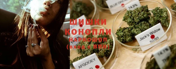амф Верхний Тагил