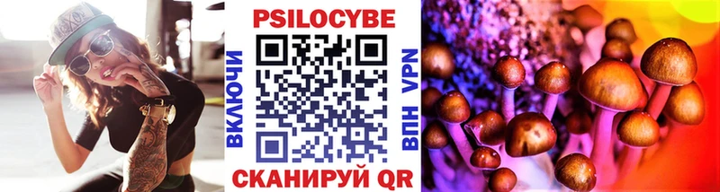 Купить закладки  Дигора  Галлюциногенные грибы Psilocybe 