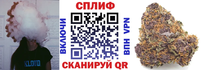 Конопля Amnesia  Купить закладки  Дигора 